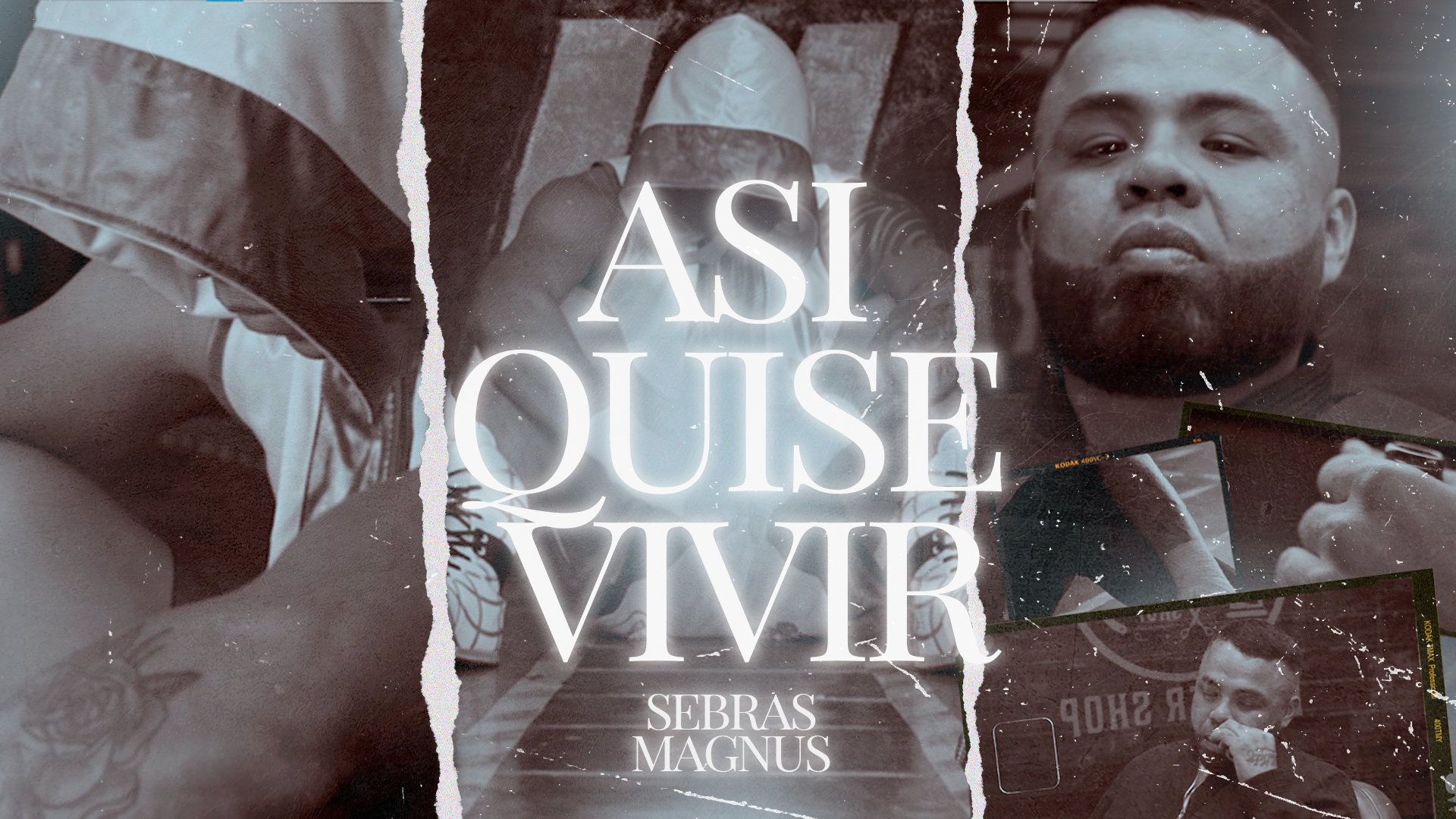 ASI QUISE VIVIR - SEBRAS MAGNUS