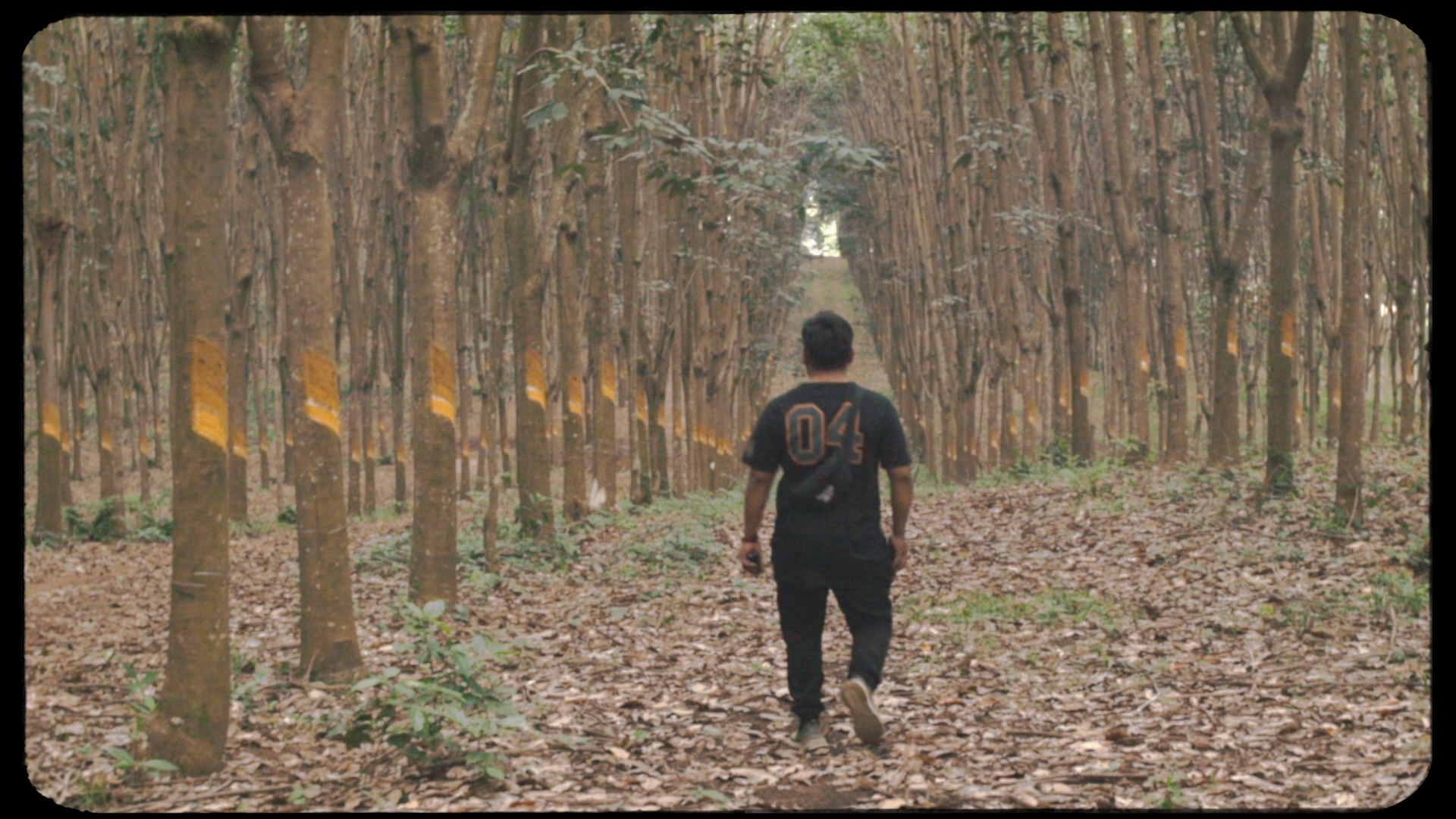 CAFE MADERA- PABLITO RODIGUEZ