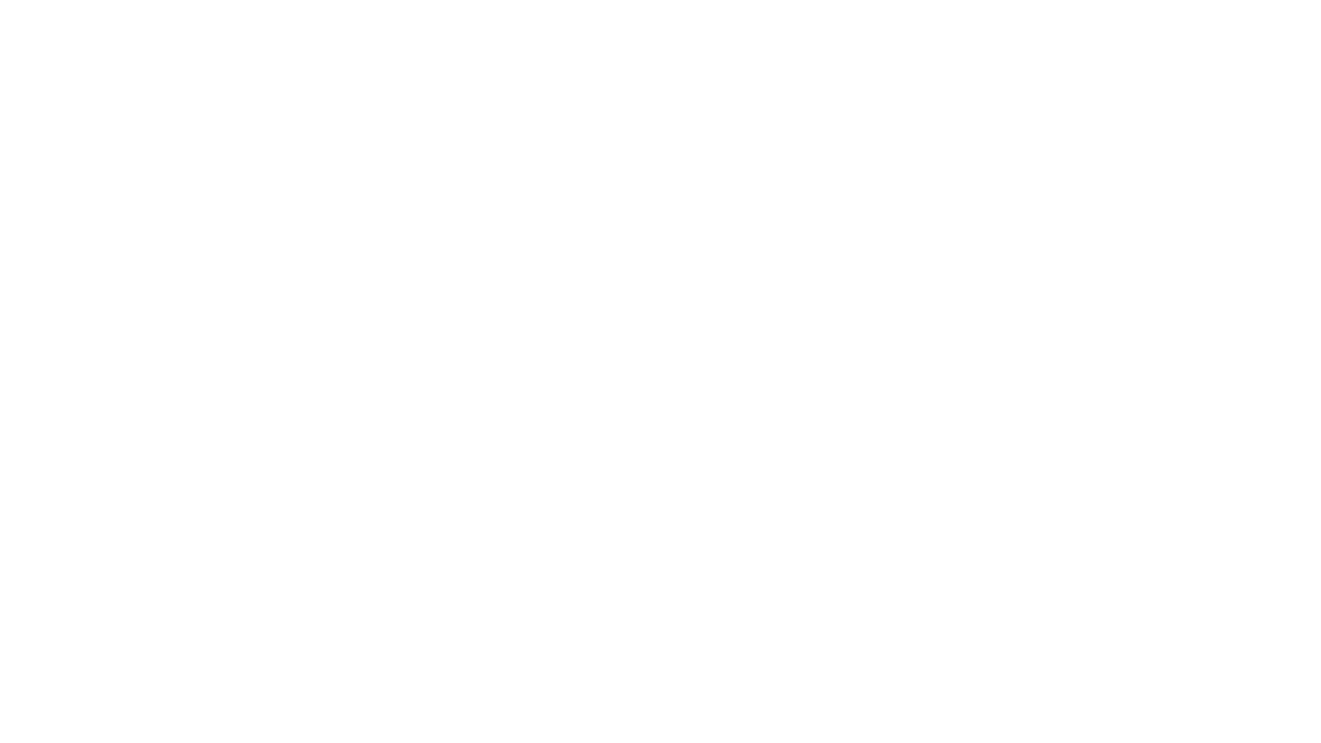 SOY UN MOUSTRO - SEBRAS MAGNUS