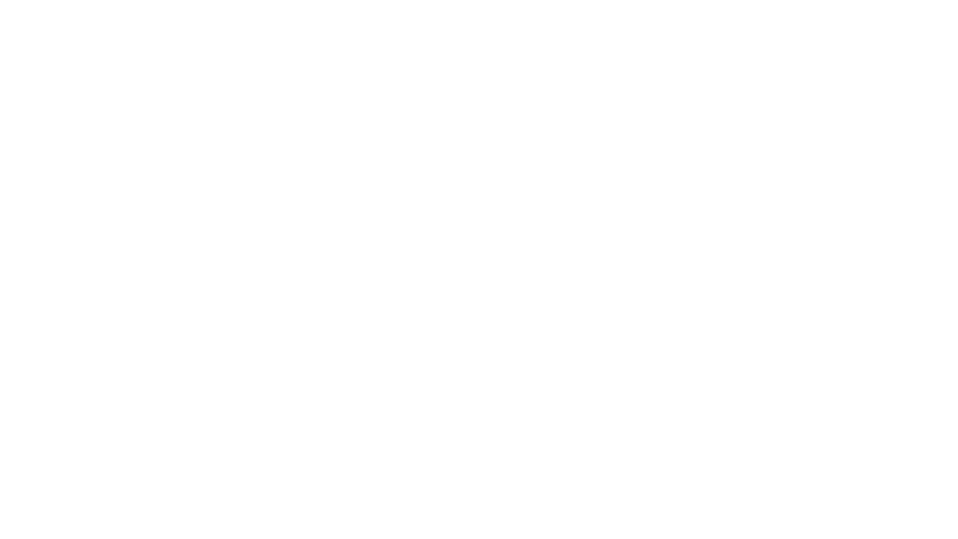 SAY JELOU - SEBRAS MAGNUS